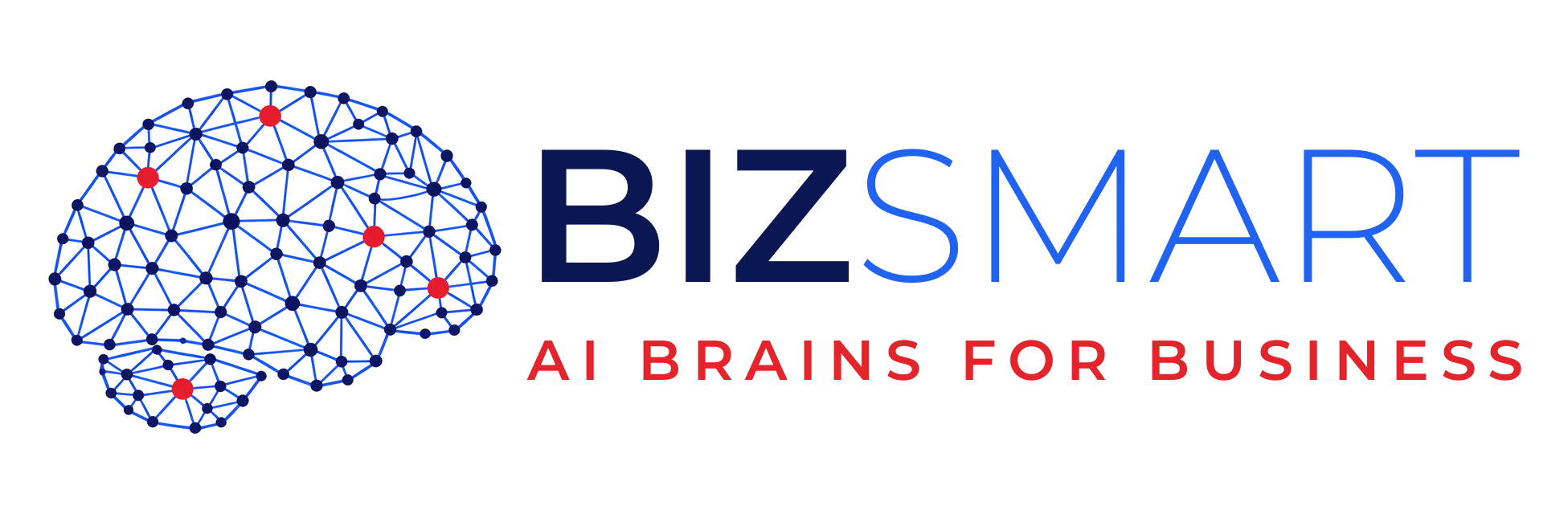 BizSmart, AI brains for business